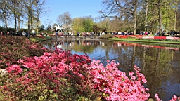 2016-04-21--06816.JPG