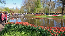 2016-04-21--06819.JPG
