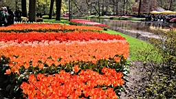 2016-04-21--06827.jpg