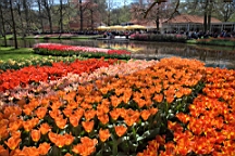 2016-04-21--06832.jpg