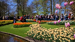 2016-04-21--06860.jpg