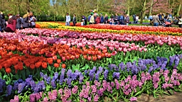 2016-04-21--06861.jpg