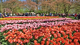 2016-04-21--06864.jpg