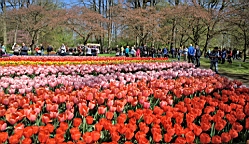 2016-04-21--06868.jpg