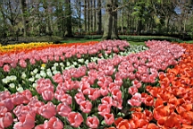 2016-04-21--06871.jpg
