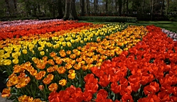 2016-04-21--06874.jpg