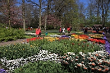 2016-04-21--06876.JPG