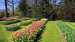 2016-04-21--06913.jpg