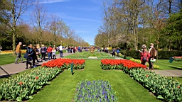 2016-04-21--06920.jpg