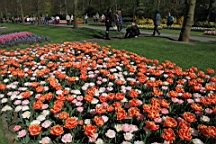2016-04-21--06941.JPG
