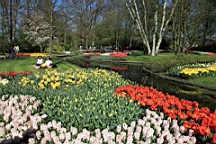 2016-04-21--06960.JPG