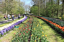 2016-04-21--06966.JPG