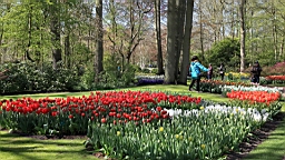 2016-04-21--06973.JPG