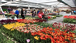 2016-04-21--07060.JPG