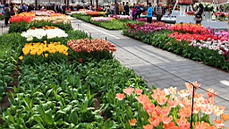 2016-04-21--07074.JPG