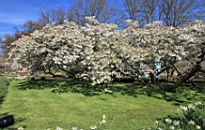 2016-04-21--07099.JPG