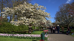2016-04-21--07115.jpg