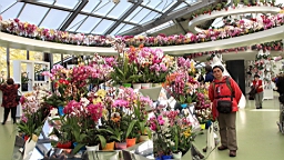2016-04-21--07119.JPG
