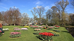2016-04-21--07126.JPG
