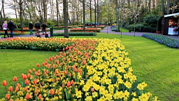 2016-04-21--07172.JPG