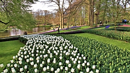2016-04-21--07185.JPG