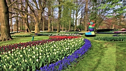 2016-04-21--07201.JPG