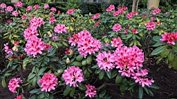 2016-04-21--07209.JPG