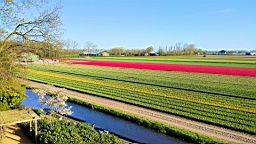 20160421_152148.jpg