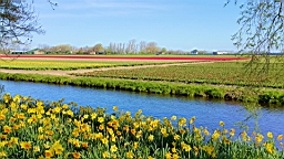 20160421_161217.jpg