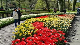 20160421_180103.jpg