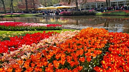 20160421_194837.jpg