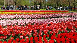 20160421_201713.jpg