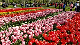 20160421_201750.jpg