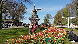 20160421_230301.jpg