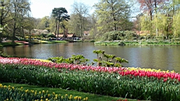 DSC00058.JPG