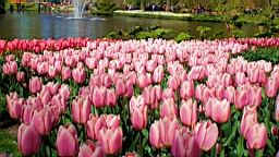 DSC00064.JPG