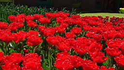 DSC00097.JPG