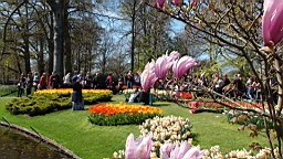 DSC00117.JPG