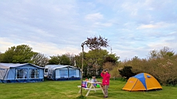 20160422_021747.jpg