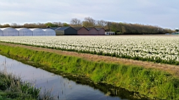 20160422_142652.jpg