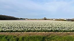 20160422_142657.jpg