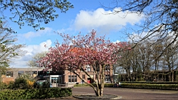 2016-04-23--07348.JPG