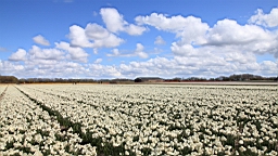2016-04-23--07445.JPG