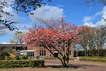 2016-04-23--07454.JPG