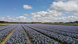 20160423_191458.jpg