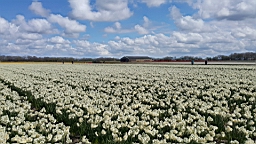 20160423_193307.jpg