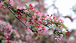 2016-04-24--07494.JPG