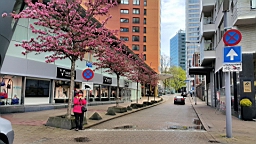 20160424_182444.jpg