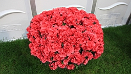 2016-04-25--07567.JPG