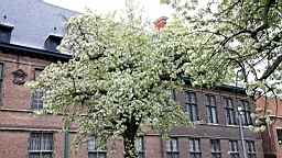 2016-04-25--07580.JPG